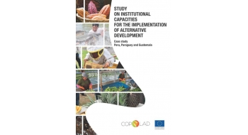 Study on Institutional Capacities for the Implementation of Alternative Development. Case study: Peru, Paraguay and Guatemala